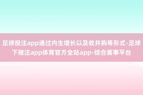 足球投注app通过内生增长以及收并购等形式-足球下赌注app体育官方全站app-综合赛事平台