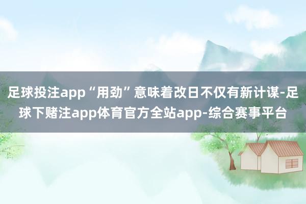 足球投注app“用劲”意味着改日不仅有新计谋-足球下赌注app体育官方全站app-综合赛事平台