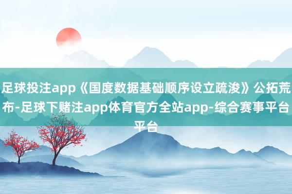 足球投注app《国度数据基础顺序设立疏浚》公拓荒布-足球下赌注app体育官方全站app-综合赛事平台