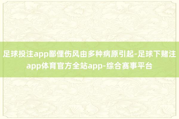 足球投注app鄙俚伤风由多种病原引起-足球下赌注app体育官方全站app-综合赛事平台