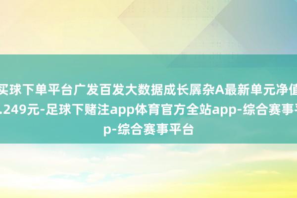 买球下单平台广发百发大数据成长羼杂A最新单元净值为1.249元-足球下赌注app体育官方全站app-综合赛事平台