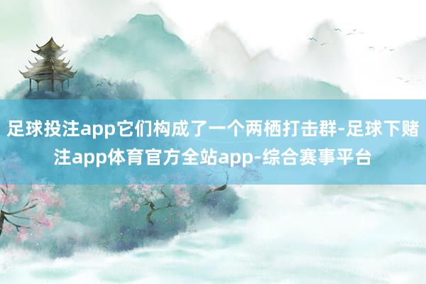 足球投注app它们构成了一个两栖打击群-足球下赌注app体育官方全站app-综合赛事平台