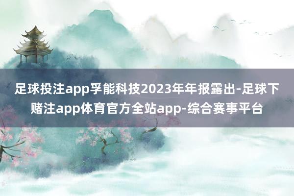 足球投注app　　孚能科技2023年年报露出-足球下赌注app体育官方全站app-综合赛事平台