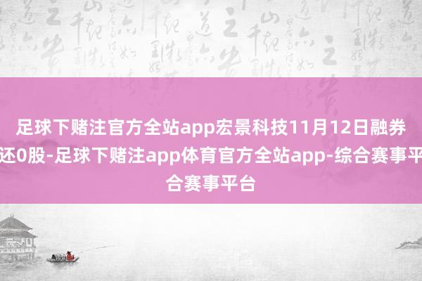 足球下赌注官方全站app宏景科技11月12日融券偿还0股-足球下赌注app体育官方全站app-综合赛事平台