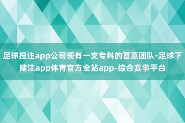 足球投注app公司领有一支专科的蓄意团队-足球下赌注app体育官方全站app-综合赛事平台