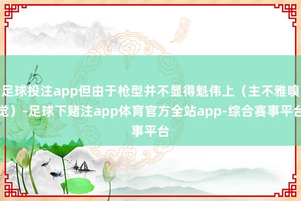 足球投注app但由于枪型并不显得魁伟上（主不雅嗅觉）-足球下赌注app体育官方全站app-综合赛事平台