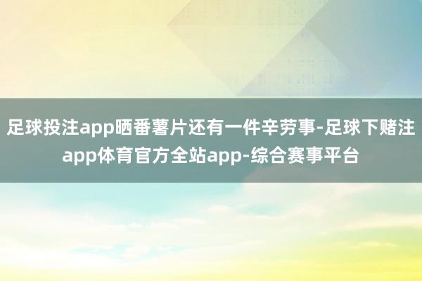 足球投注app晒番薯片还有一件辛劳事-足球下赌注app体育官方全站app-综合赛事平台