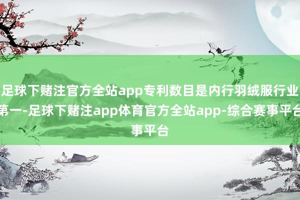 足球下赌注官方全站app专利数目是内行羽绒服行业第一-足球下赌注app体育官方全站app-综合赛事平台
