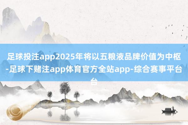 足球投注app2025年将以五粮液品牌价值为中枢-足球下赌注app体育官方全站app-综合赛事平台
