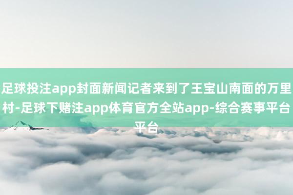 足球投注app封面新闻记者来到了王宝山南面的万里村-足球下赌注app体育官方全站app-综合赛事平台