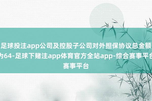 足球投注app公司及控股子公司对外担保协议总金额为64-足球下赌注app体育官方全站app-综合赛事平台