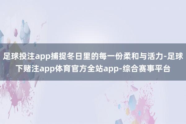 足球投注app捕捉冬日里的每一份柔和与活力-足球下赌注app体育官方全站app-综合赛事平台
