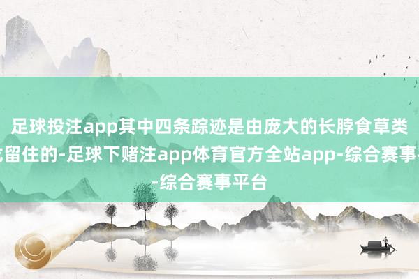 足球投注app其中四条踪迹是由庞大的长脖食草类恐龙留住的-足球下赌注app体育官方全站app-综合赛事平台