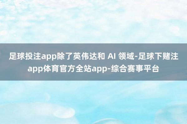 足球投注app除了英伟达和 AI 领域-足球下赌注app体育官方全站app-综合赛事平台