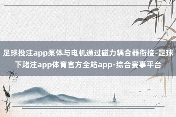 足球投注app泵体与电机通过磁力耦合器衔接-足球下赌注app体育官方全站app-综合赛事平台