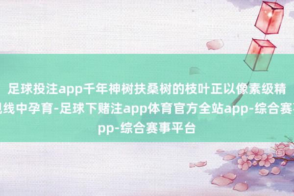 足球投注app千年神树扶桑树的枝叶正以像素级精度在视线中孕育-足球下赌注app体育官方全站app-综合赛事平台
