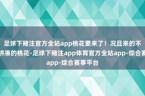 足球下赌注官方全站app桃花要来了！况且来的不是那种拼凑的桃花-足球下赌注app体育官方全站app-综合赛事平台
