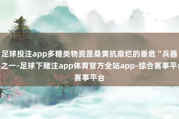 足球投注app多糖类物资是桑黄抗靡烂的垂危“兵器”之一-足球下赌注app体育官方全站app-综合赛事平台