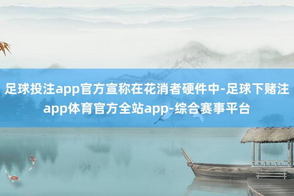 足球投注app官方宣称在花消者硬件中-足球下赌注app体育官方全站app-综合赛事平台