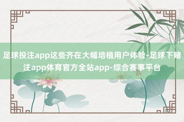 足球投注app这些齐在大幅培植用户体验-足球下赌注app体育官方全站app-综合赛事平台
