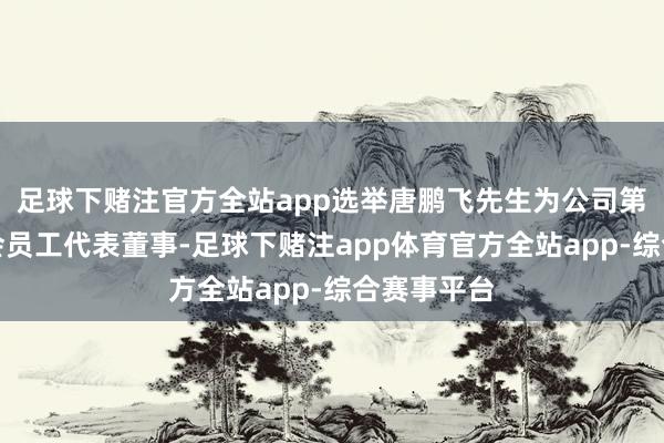 足球下赌注官方全站app选举唐鹏飞先生为公司第七届董事会员工代表董事-足球下赌注app体育官方全站app-综合赛事平台