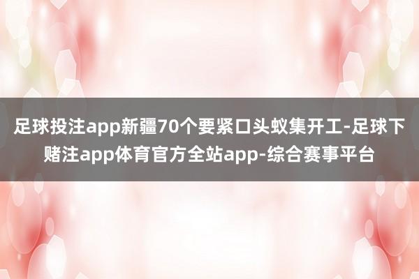 足球投注app新疆70个要紧口头蚁集开工-足球下赌注app体育官方全站app-综合赛事平台