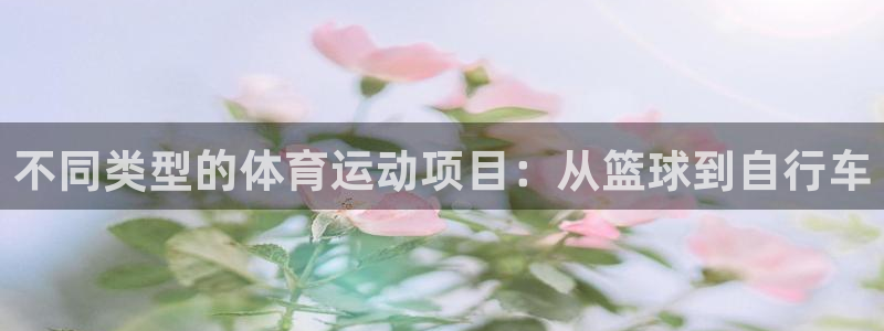 bbin视讯游戏官网：不同类型的体育运动项目：从篮球到自行车
