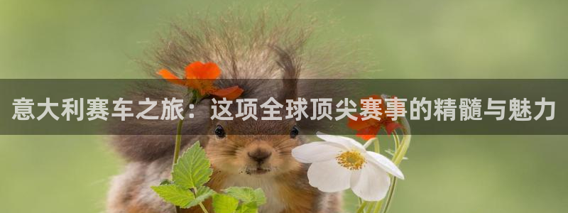 bbin视讯下：意大利赛车之旅：这项全球顶尖赛事的精髓与魅力