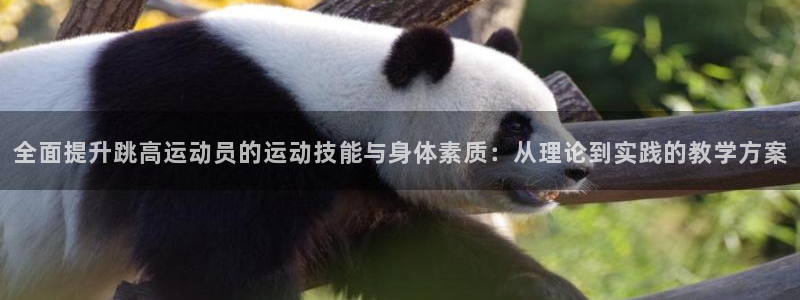 bbin视讯游戏官网：全面提升跳高运动员的运动技能与身体素质：从理论到实践的教学方案