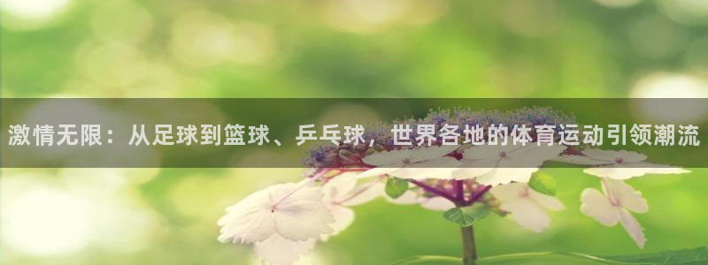 bbin视讯下：激情无限：从足球到篮球、乒乓球，世界各地的体育运动引领潮流