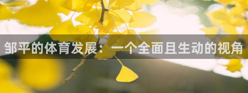 bbin视讯游戏官网：邹平的体育发展：一个全面且生动的视角