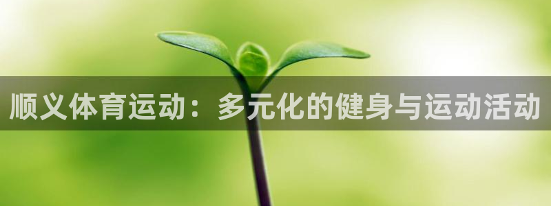 bbin视讯游戏平台：顺义体育运动：多元化的健身与运动活动