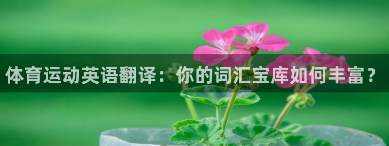 bbin视讯下：体育运动英语翻译：你的词汇宝库如何丰富？