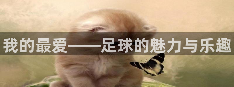 bbin视讯下：我的最爱——足球的魅力与乐趣