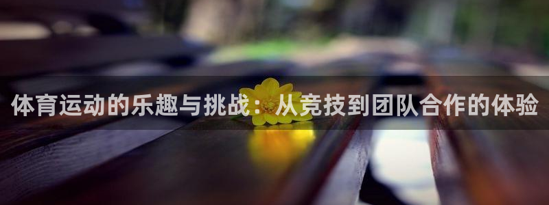 bbin视讯游戏平台：体育运动的乐趣与挑战：从竞技到团队合作的体验