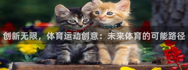 bbin视讯游戏官网：创新无限，体育运动创意：未来体育的可能路径